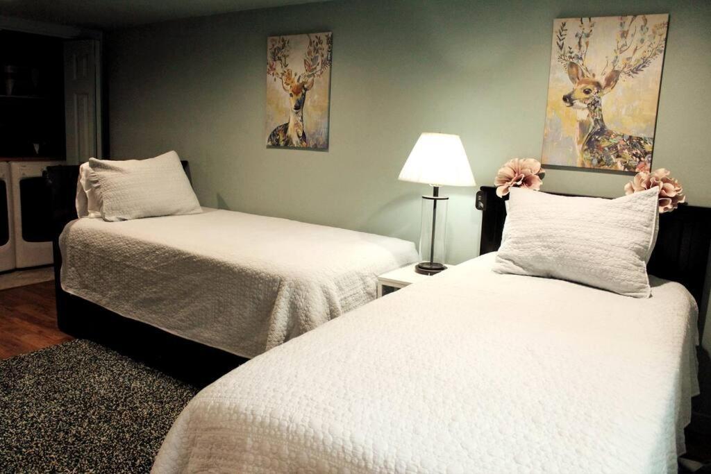 Heart Of Woodstock, 10 Min Walk To Reed, With Private Garage! Apartment Portland Ngoại thất bức ảnh